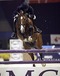 lupicor_jump_off__international_stallion_show_zwolle