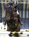 solitair_v.voltaire_x_libero_h_with_michael_korompis