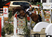 vincenzo_v._numero_uno_winner_of_the_linz_2008_young_horses_finals_4