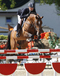 vincenzo_v._numero_uno_winner_of_the_linz_2008_young_horses_finals_5