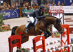 vincenzo_v.numero_uno_x_ekstein_with_denis_huser_at_the_kwpn_stallion_approval_in_den_bosch