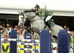 quadrifoglio_v.cavalier_with_rider_jerry_smit_at_the_zangersheide_world_chapionships