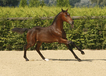 dancer_emaire_whitaker_x_libero_h_2.jpg